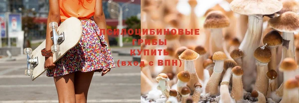 индика Абдулино